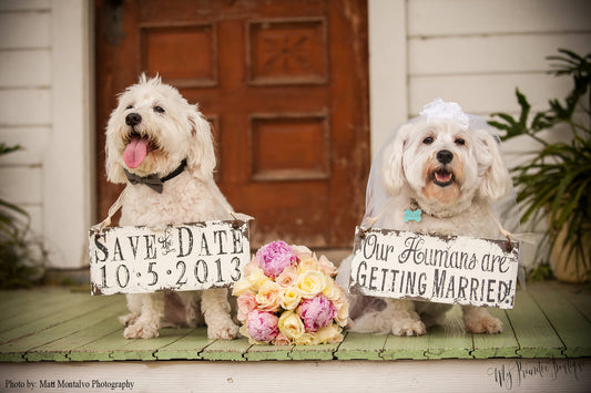 Our Humans are Getting Married personalized and Reversible signs with chalkboard.